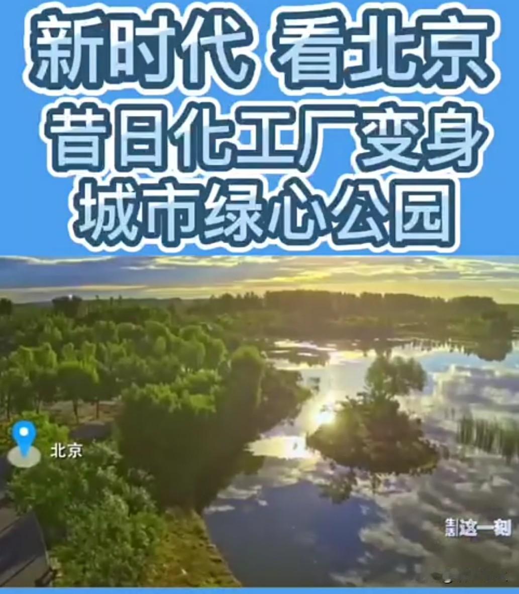 近日，北京市拟规定绿道控制易致敏植物，新增植物不宜使用杨、柳雌株。这一政策看似简