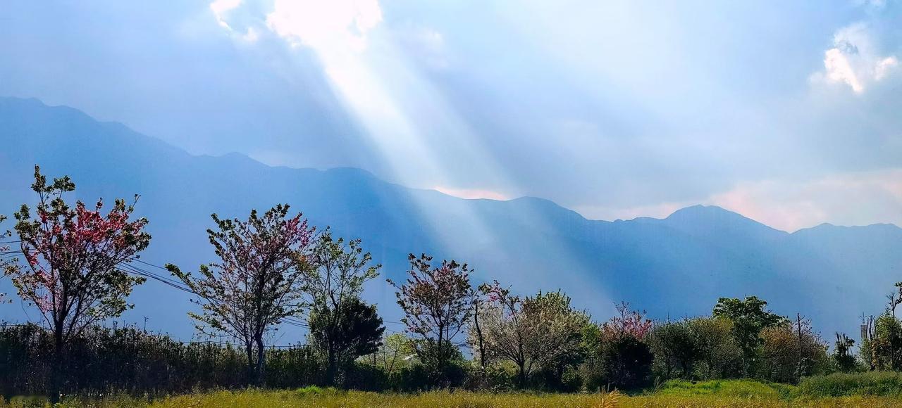 光从云隙间泼下来，给远山镀上绒绒的金边，树影在风里晃着，把春天的呼吸都摇成了碎金