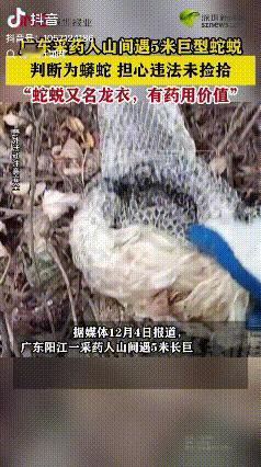 “根本不敢捡！”广东阳江，一男子到山上采药，在山间中发现蛇蜕，但不同于普通的蛇蜕