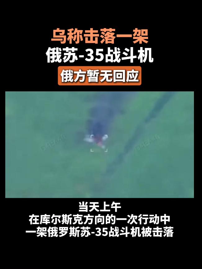 乌克兰宣称一架苏35被击落。

但是俄罗斯没有任何回应。

先是乌克兰派无人机袭