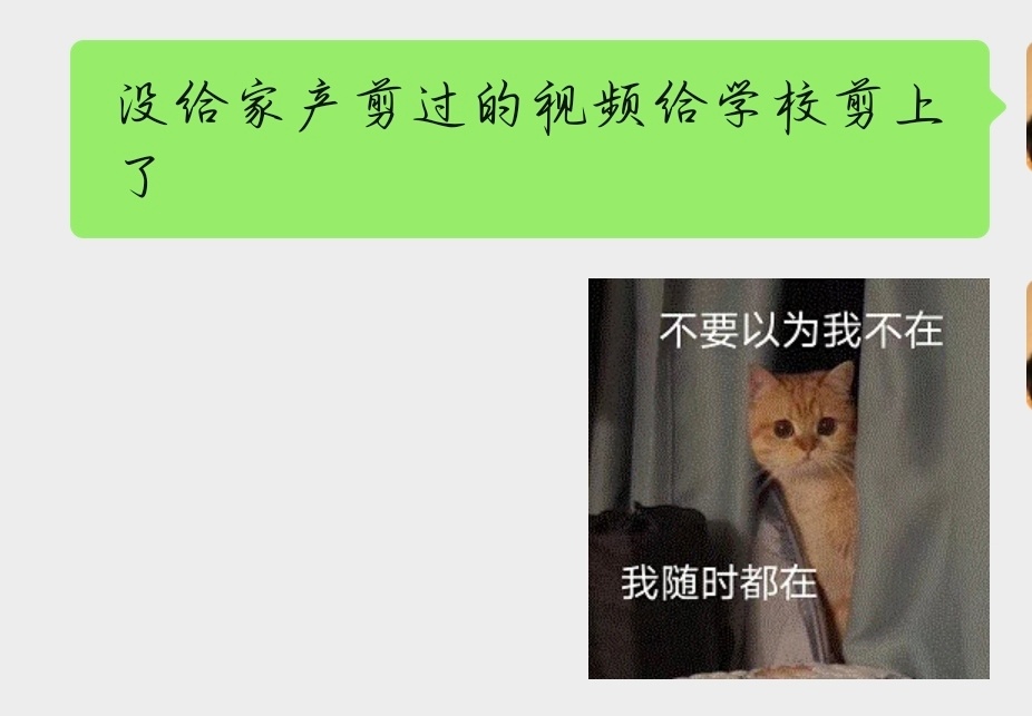 哼，以后给工作剪一个，也要给家产安排上一个 ​​​