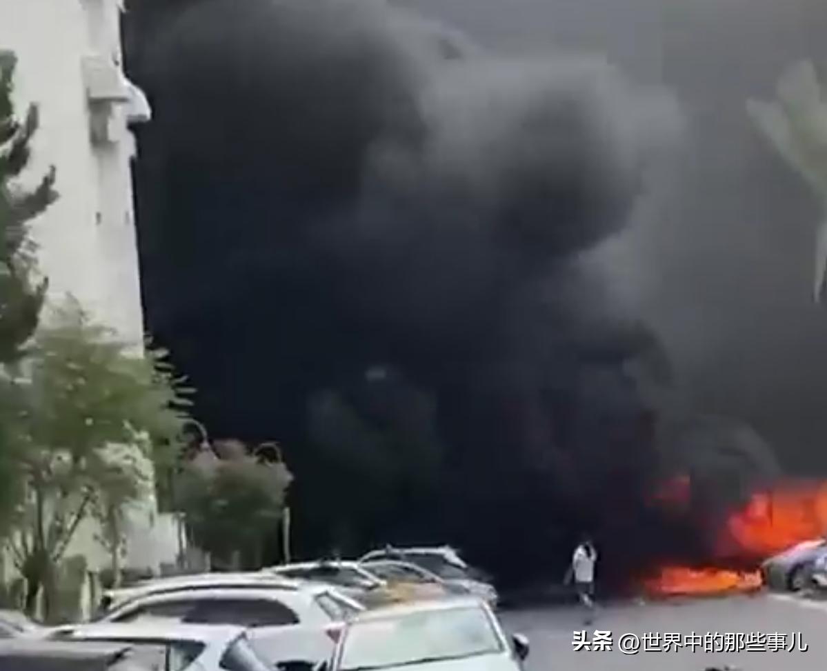 伊朗真承诺 4行动的第十三波发起攻击，伊朗开辟七条战线！  伊朗彻底疯狂！
3月