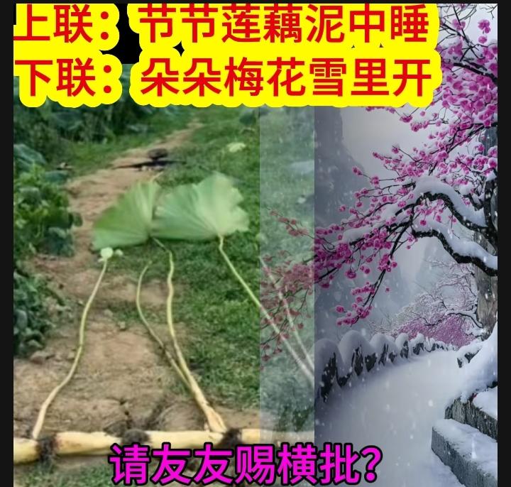 下联：朵朵梅花雪里开
请友友赐个牛逼的横批？