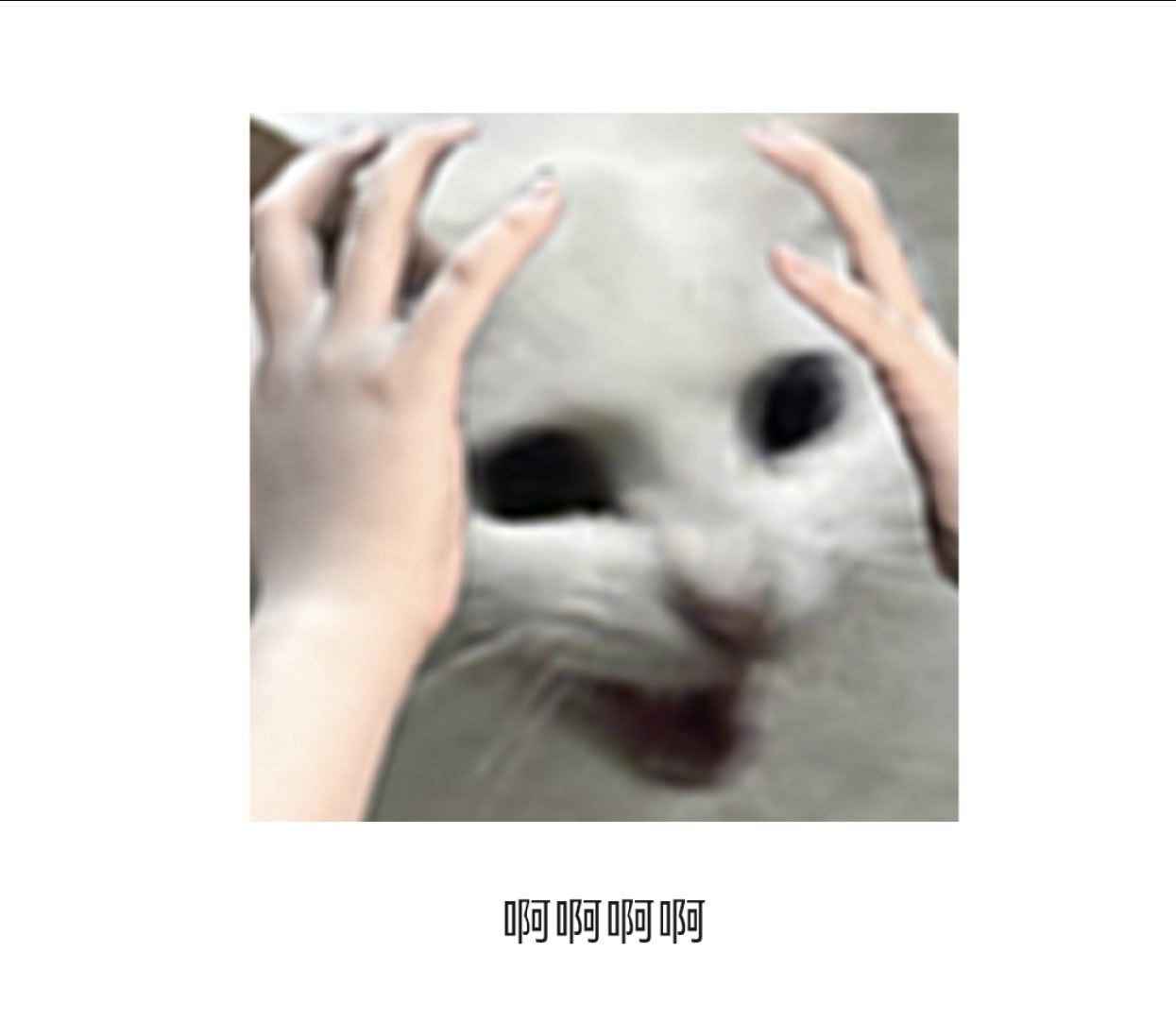 这是咋了，我又说错什么了？我不是谁的唯粉，我是CP粉啊