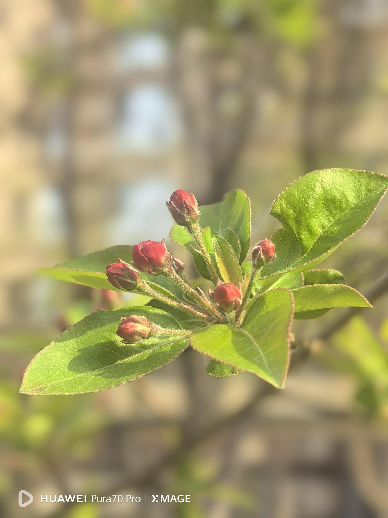 人这一辈子，能够平平安安，有一个健康的身体，一个幸福的家庭才是最重要的！

前两