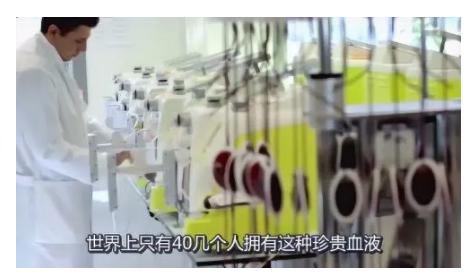 有人逃离战火与贫穷，却在陌生国度被“处理得像一块猪肉”。你以为他们在追求自由，其