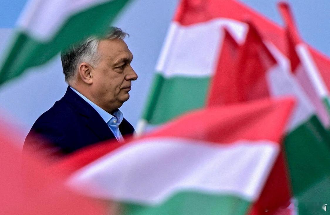 匈牙利政局巨变：欧尔班下台，亲欧路线胜出海外新鲜事匈牙利 匈牙利大选落幕，执政1