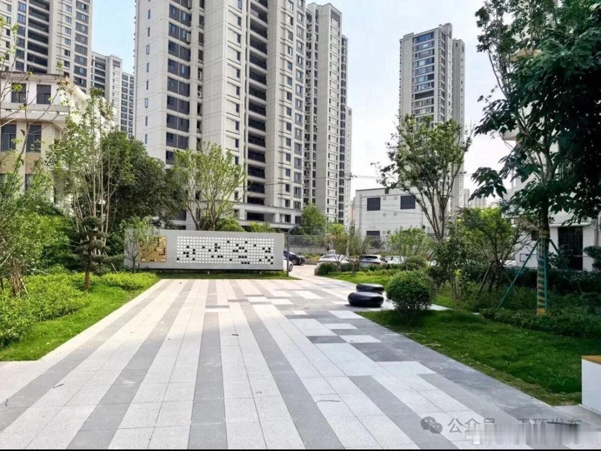 玉环边街角长出了网红树荒地焕新造美景，方寸游园解锁家门口惬意时光 