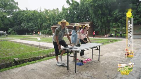 #李亚男解锁插秧技能#  哇，一起来看在《小美好中国行》里，没想到李亚男聪明有天