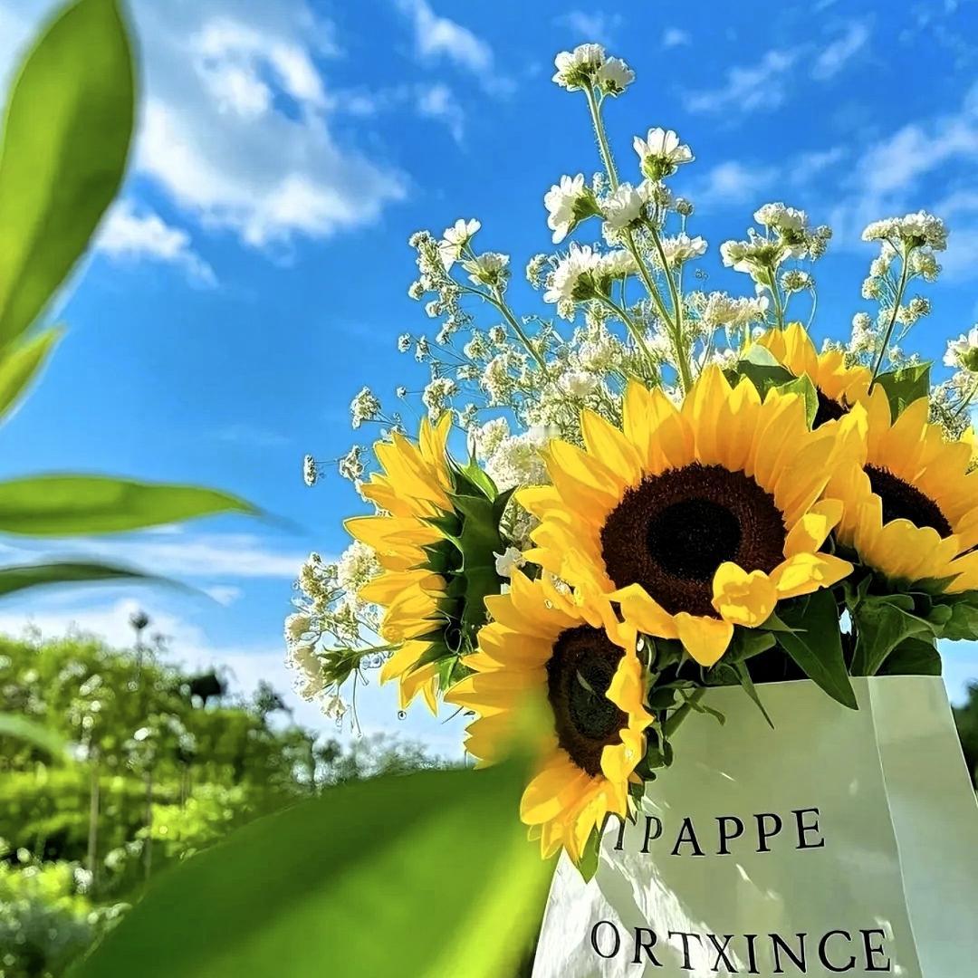 说真的，现在好多人花钱都在交“智商税”！那些看似理所当然的开销，其实全是没必要的