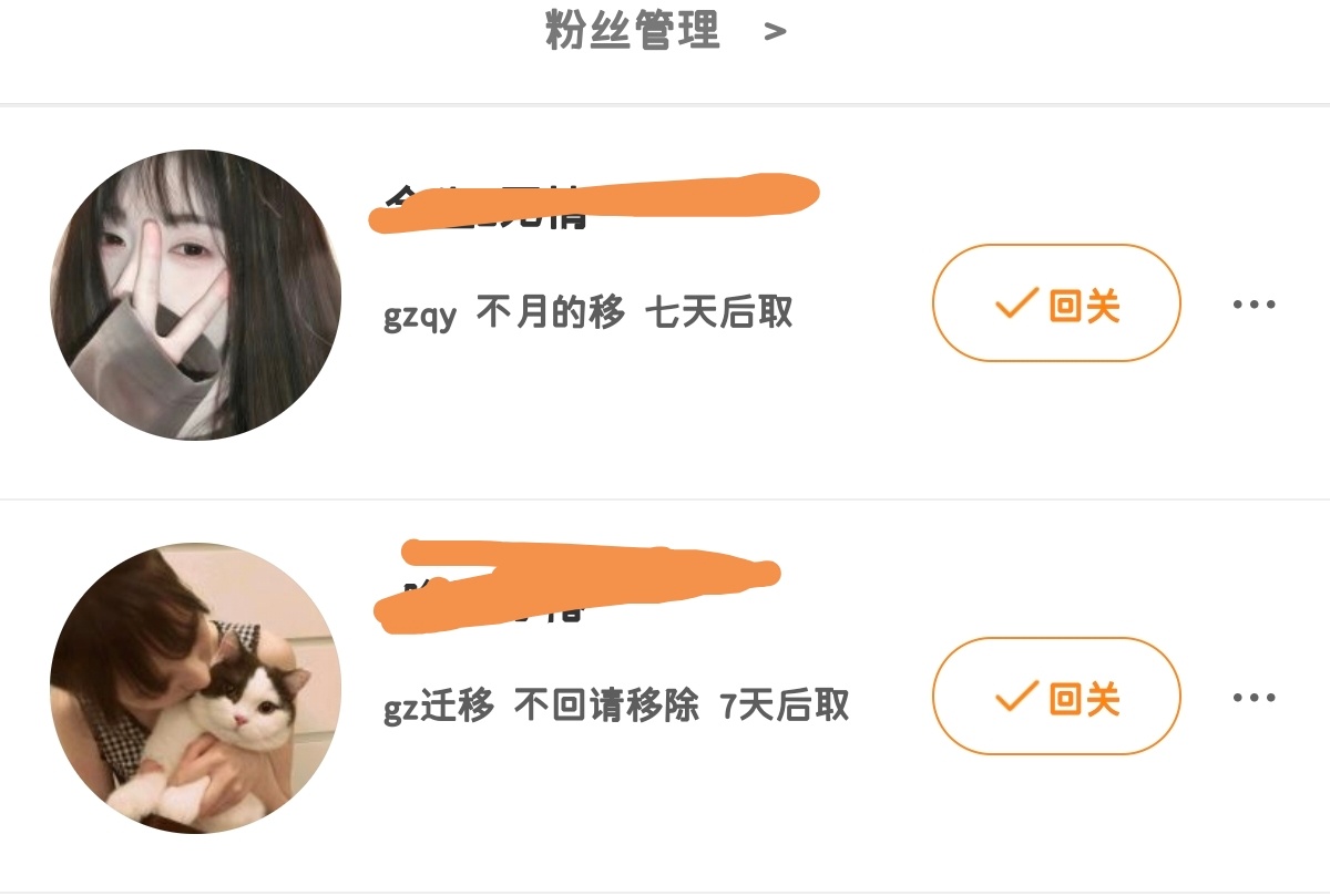 能不能别来了wok 