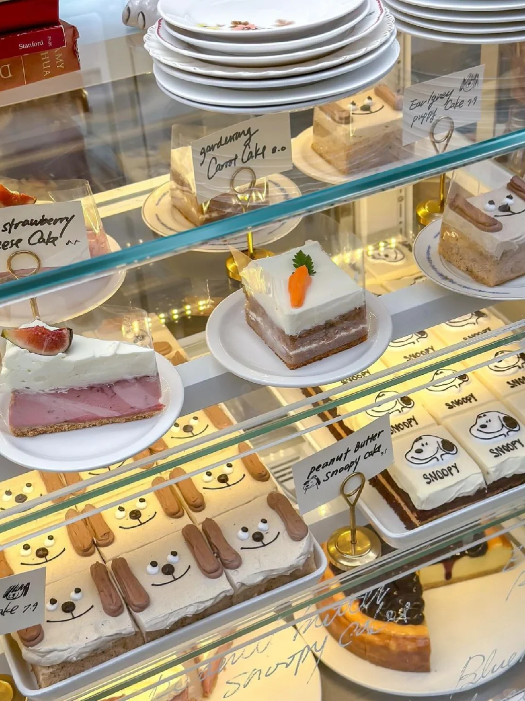 🇰🇷首尔人气小狗咖啡我终于去了……