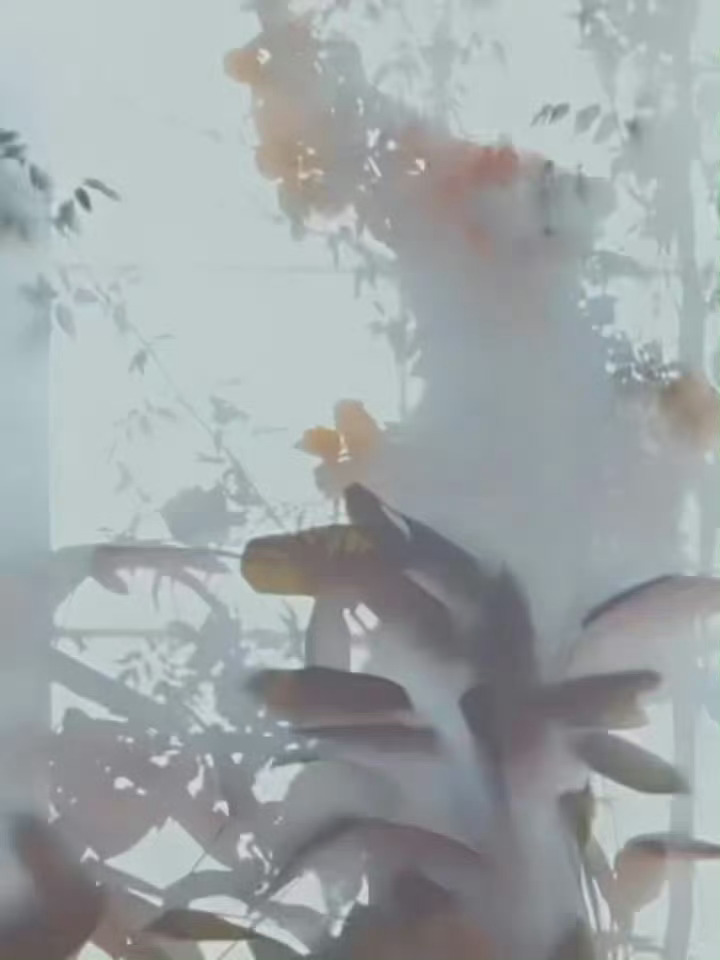 陈都灵塞尔维亚版《嘉人》二月刊封面，身穿Rahul Mishra 2025秋冬高