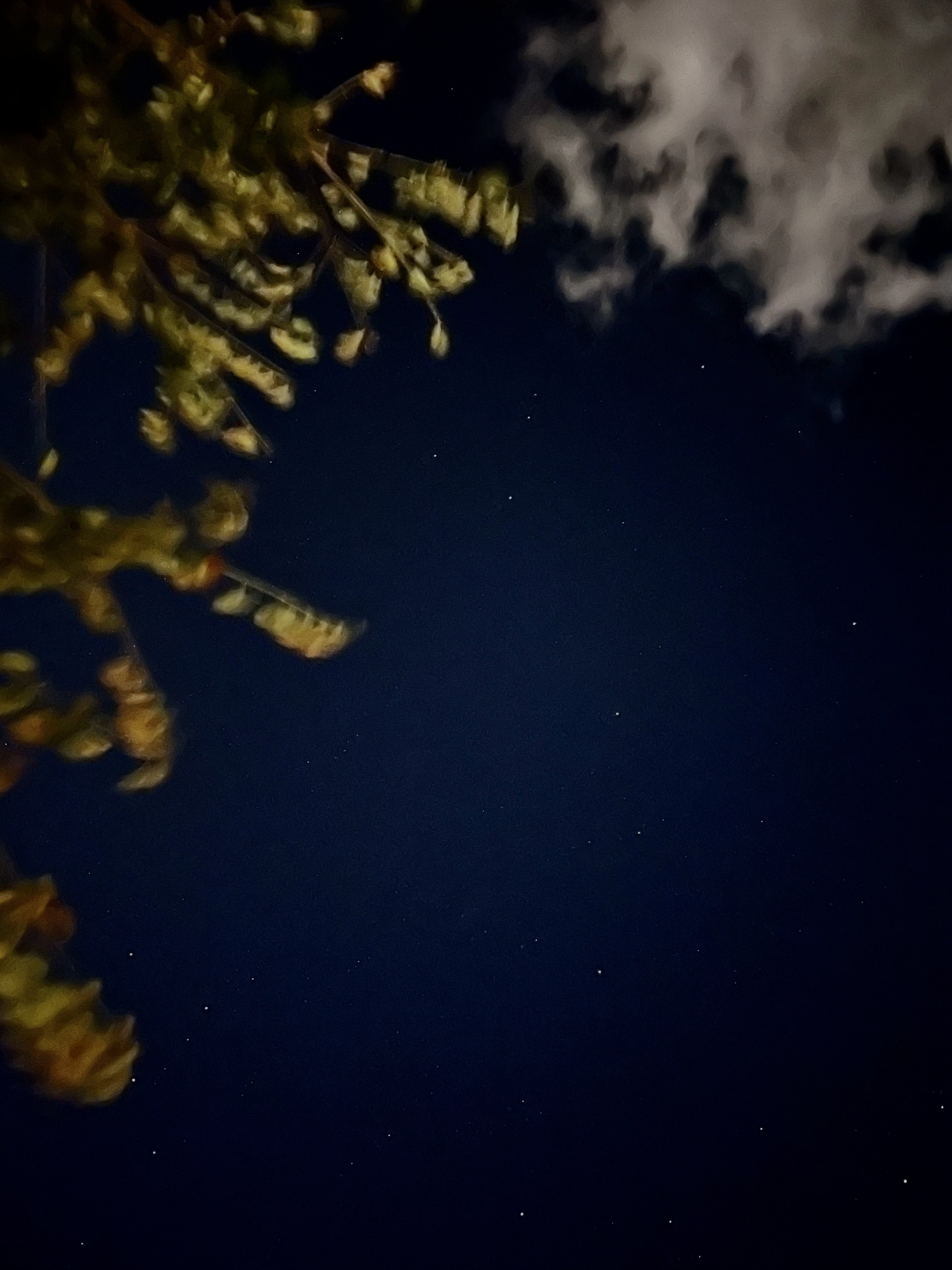 好久没有抬头就能看到星星了🌃 ​​​