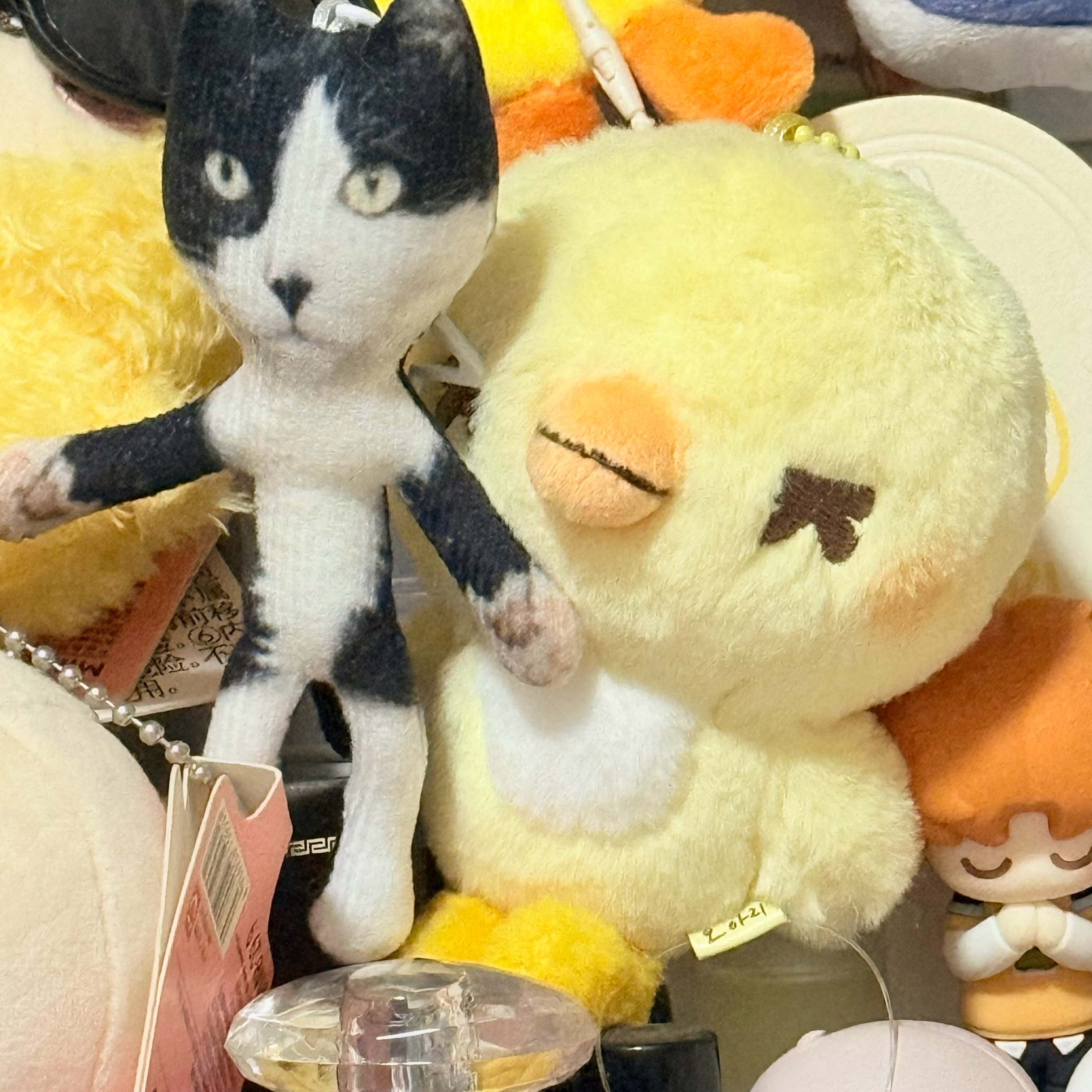 这俩在一起好好笑 