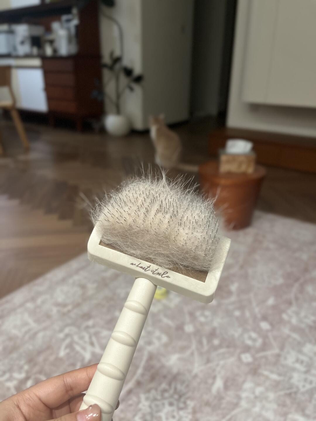皮皮梳 嘎嘎好用