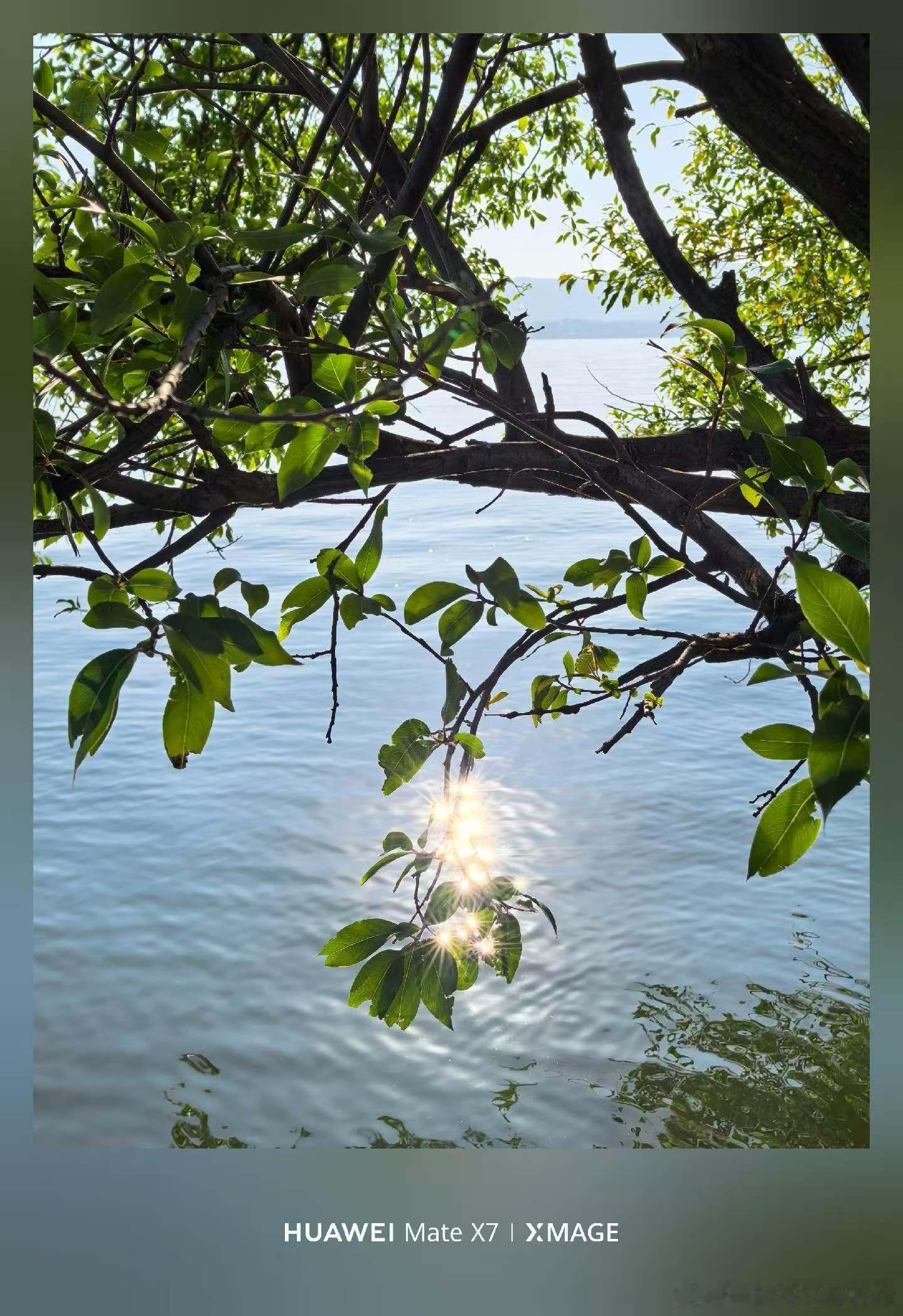 低层次的家庭里，人的脑子里装的大部分是犟，在沟通上存在双重障碍，常常因为一句话就