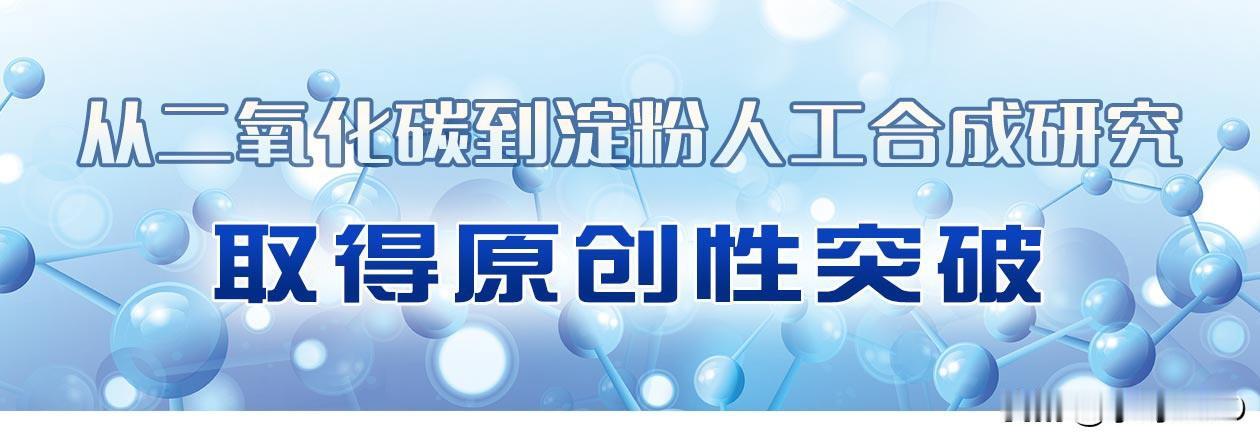 让空气变粮食，中国吨级中试全面启动

工业尾气在管道里呼啸，却在一套银白色反应器
