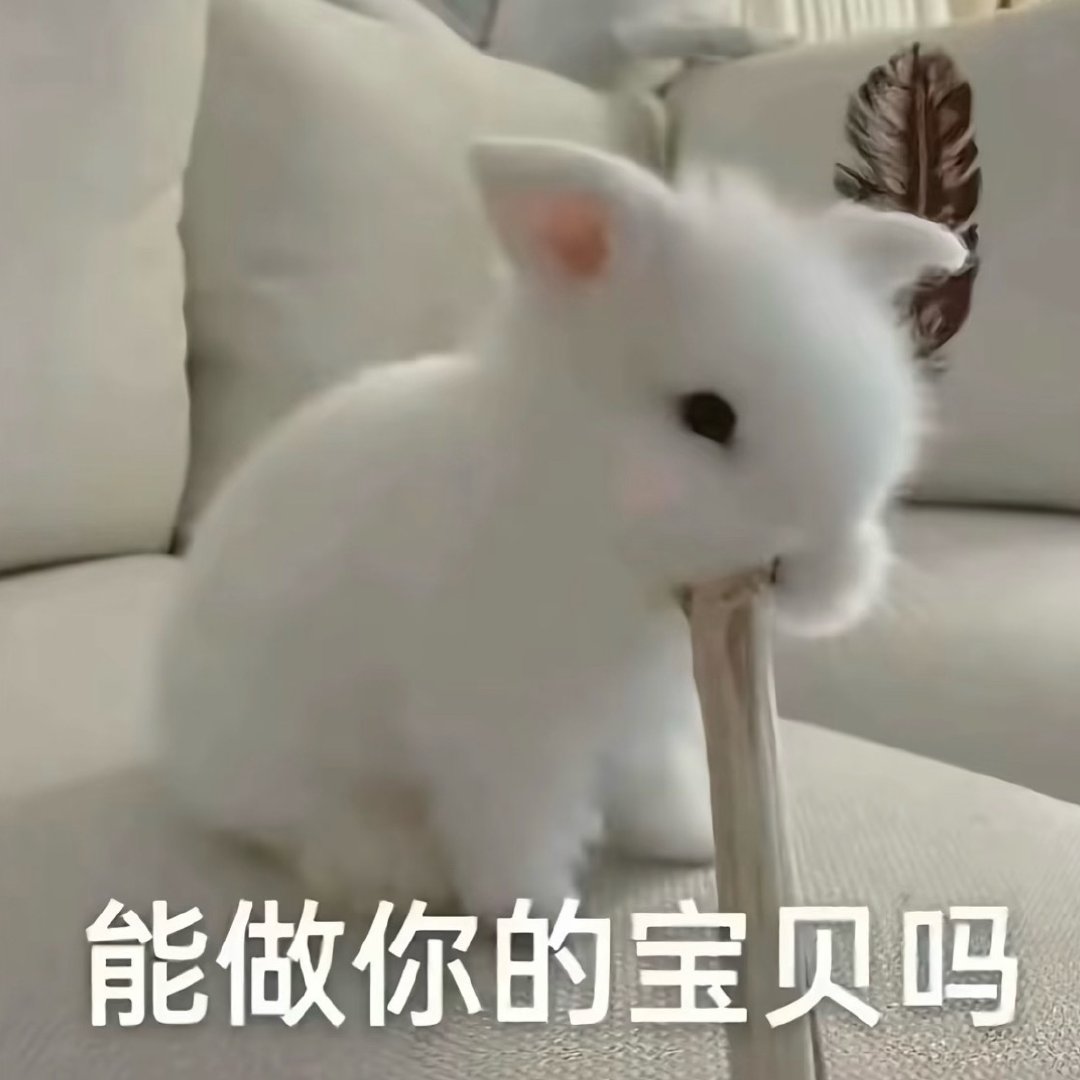 ​​​