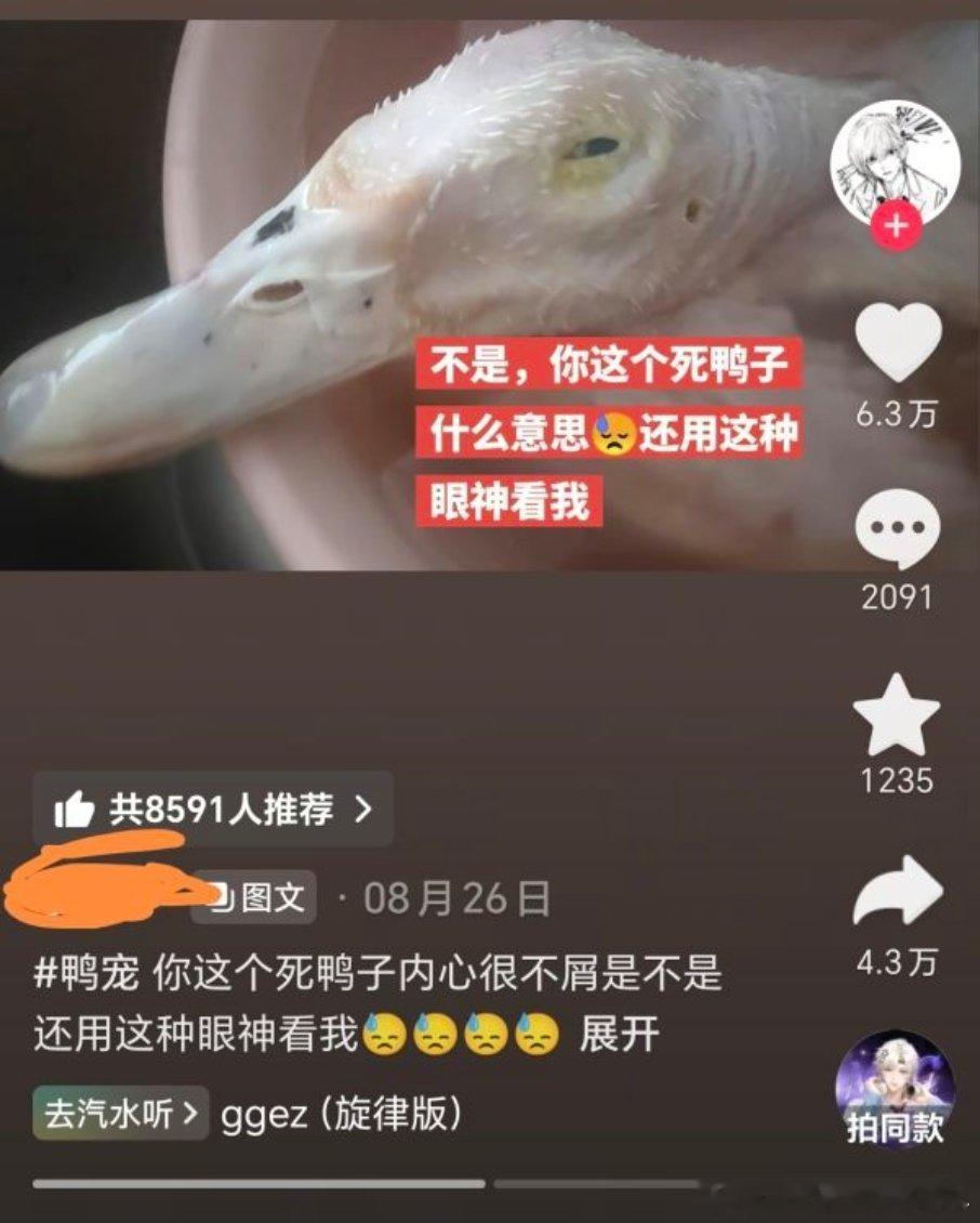 打了鸭宠标签配图是鼠掉的鸭子 文案和plq都在玩梗…… ​​​