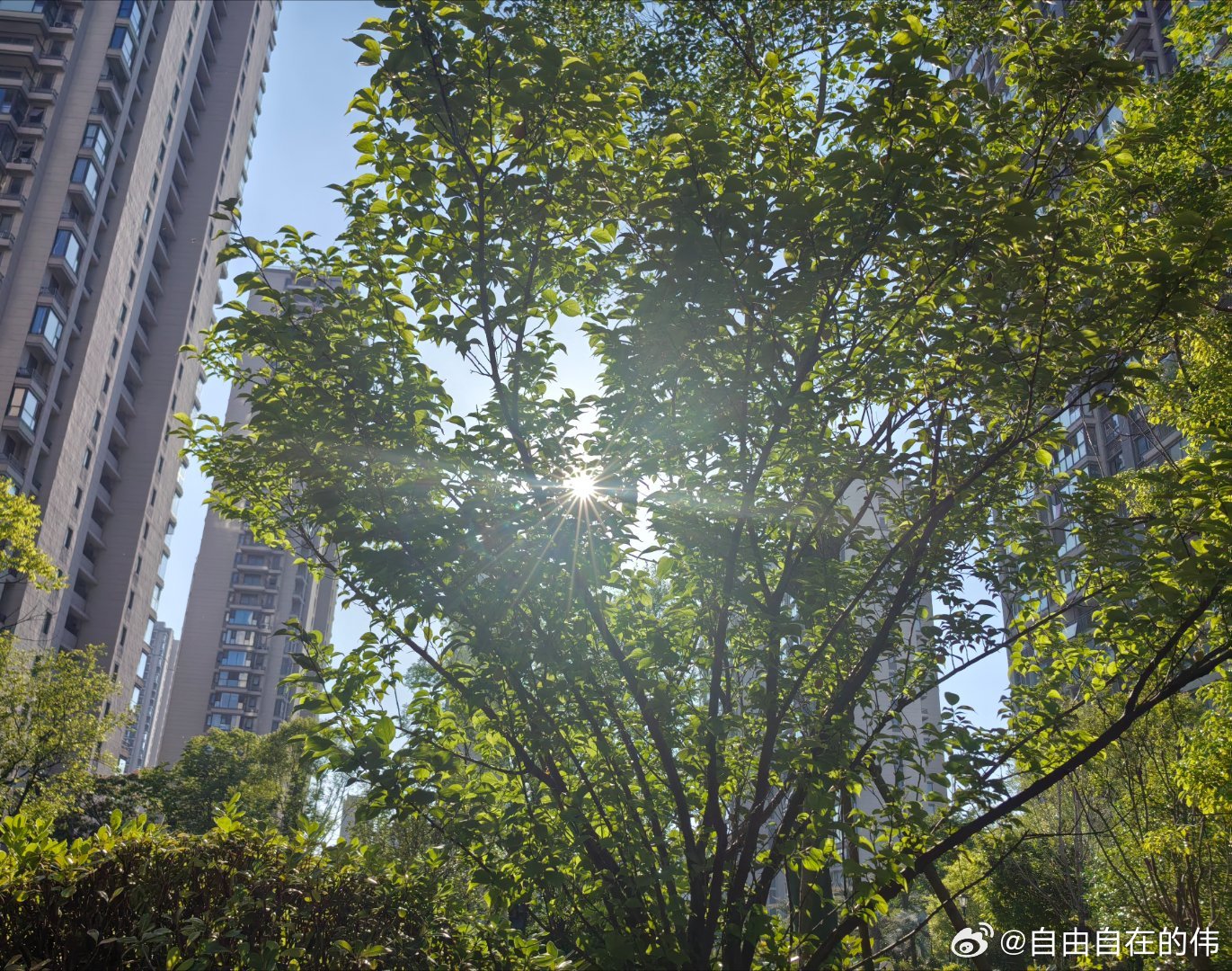 森林驿站 人生路上，要学会善待，善待他人，可以让人生走得更远；善待自己，可以让生