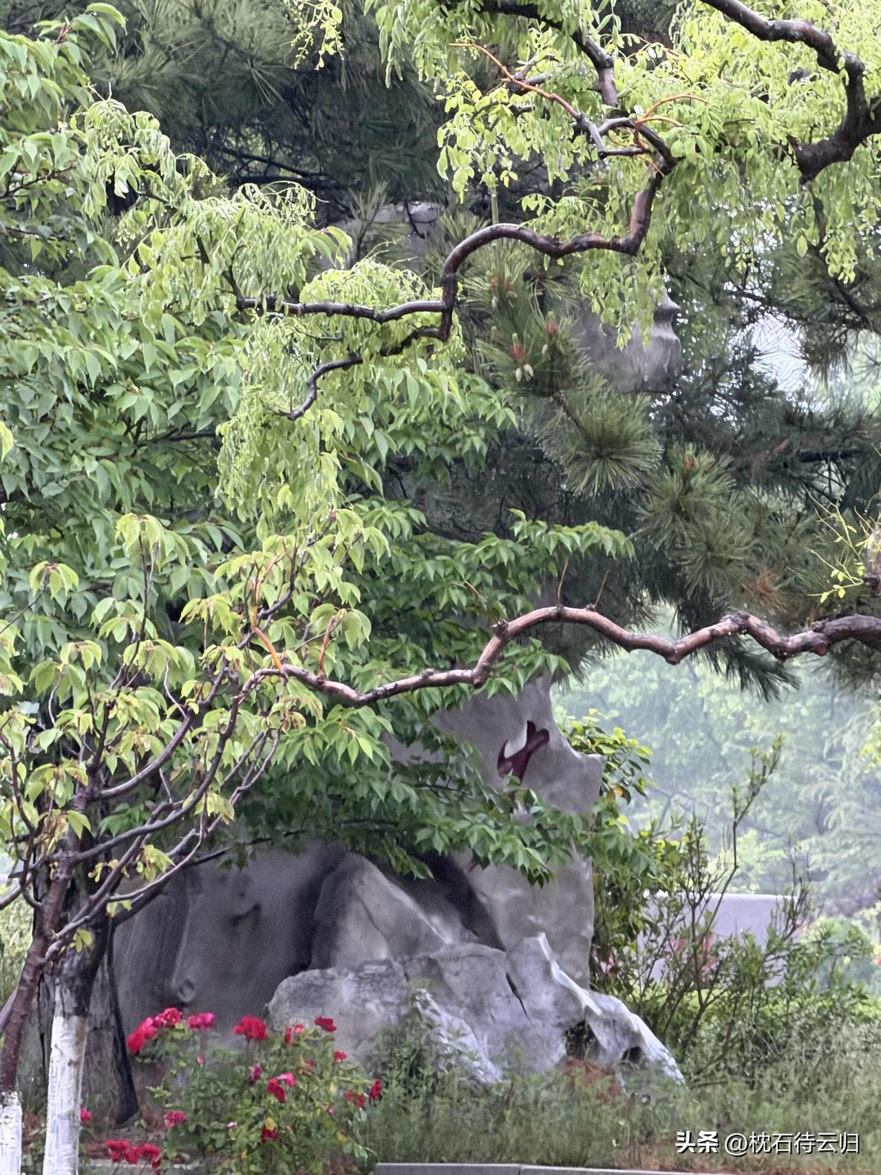 阴雨

晨昏阴雨满村篱，憔悴夏花多少枝。
青鸟空旋云外影，乌鸦频噪旧时祠。
一犁