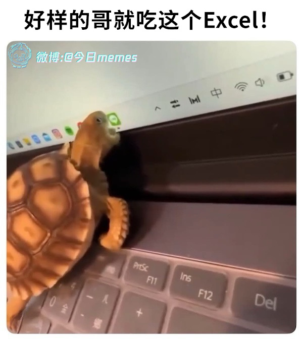 都是你的（9gag）哎呀 ​​​