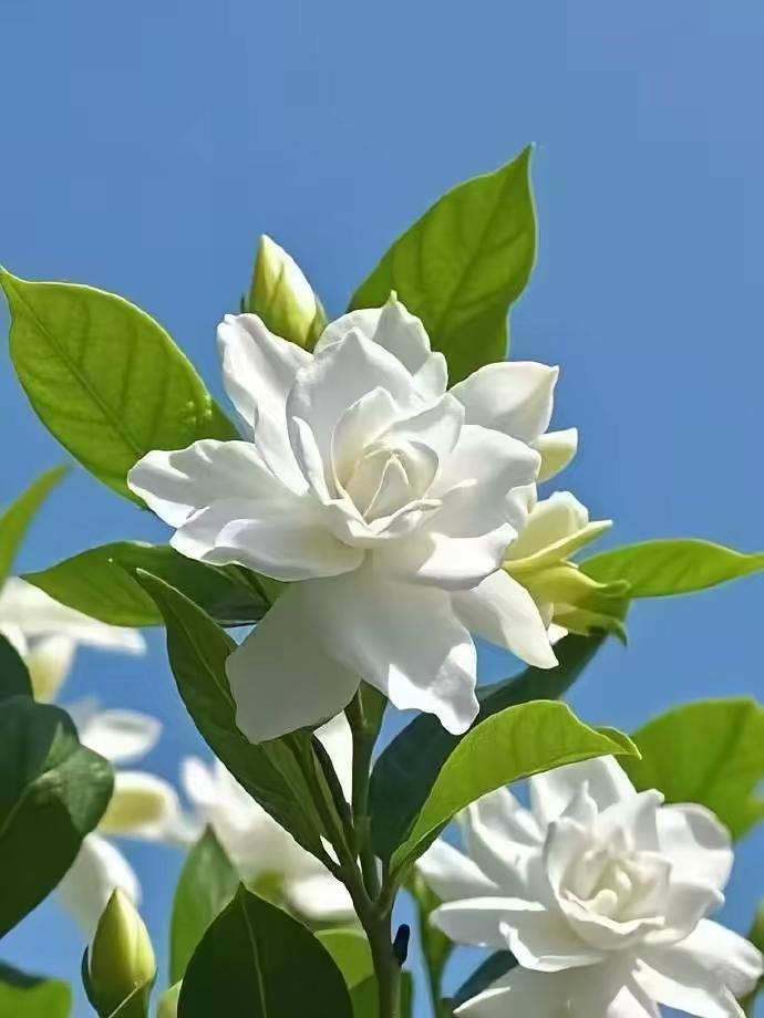 看到头条有人发文说，找人擦玻璃从五楼掉下来摔下去世了！吓得我都不敢找人擦玻璃了，