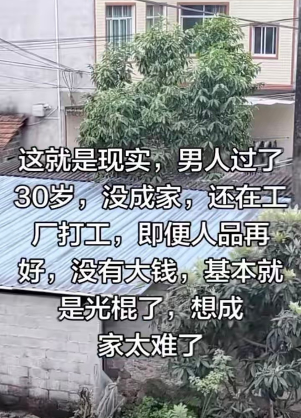 这就是现实吧 