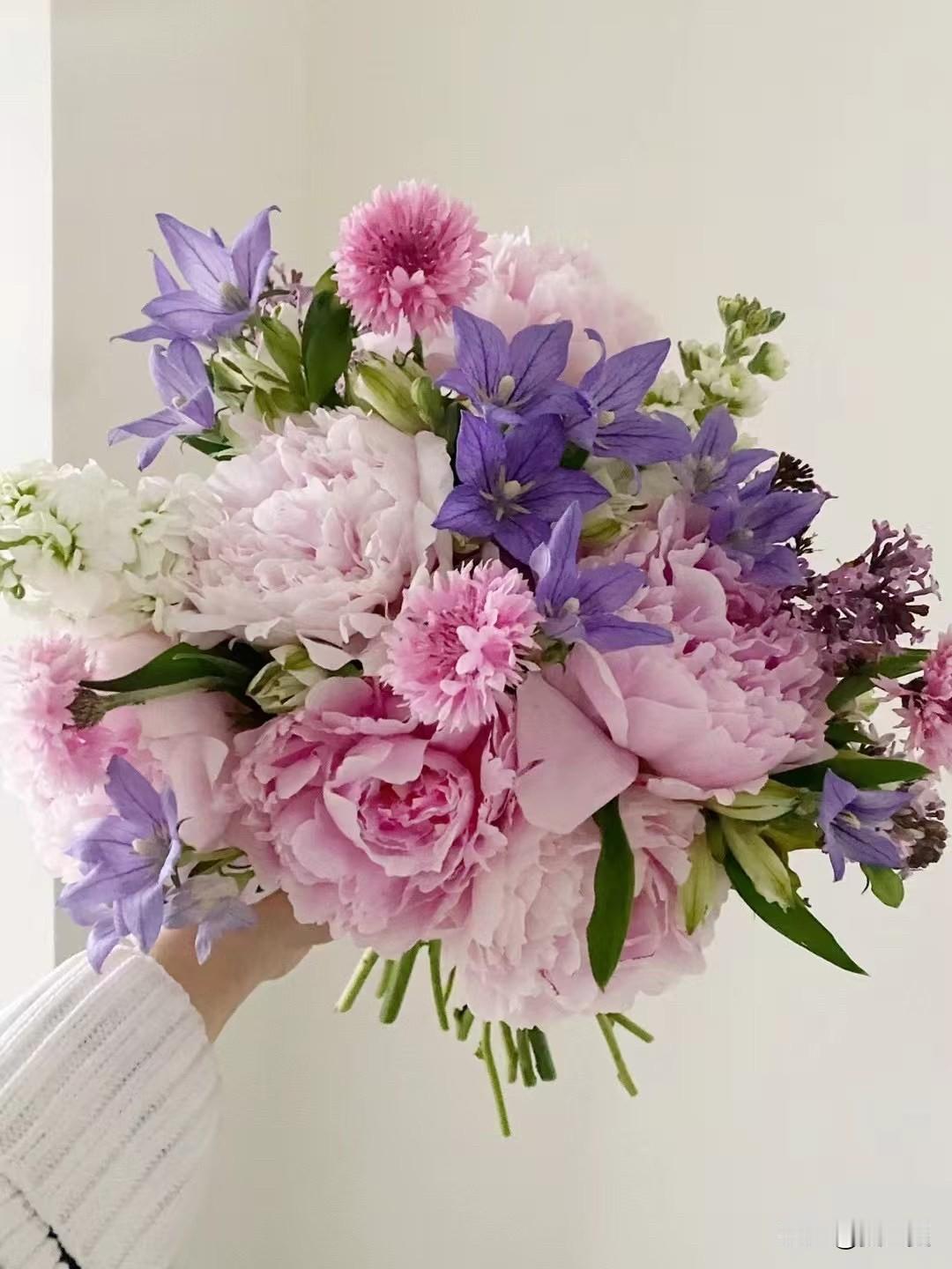 花艺之美
心情犹如花瓣色。
人间烟火，不及你我眼中的花香满溢。
每一朵花开，都是