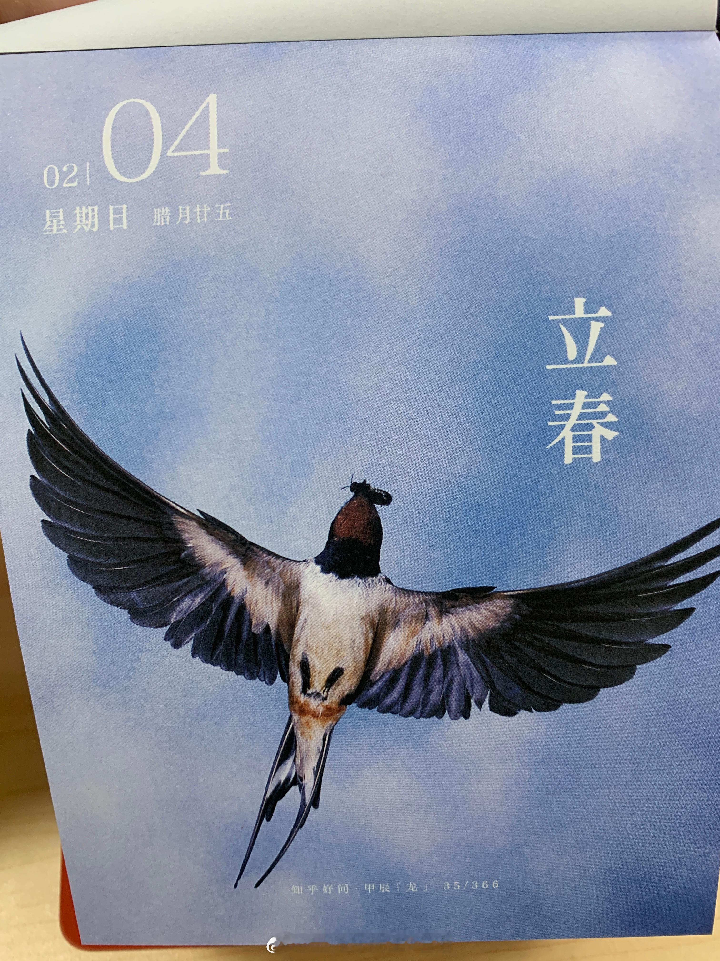 早安朋友们～立春快乐～ ​​​