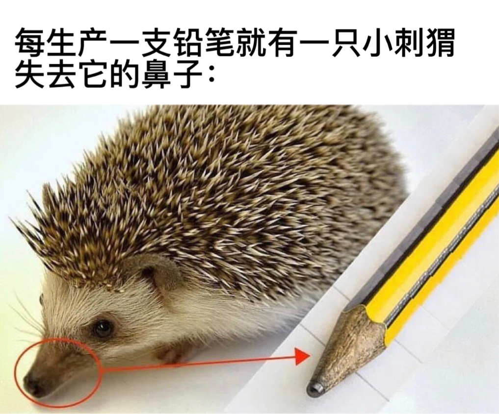 没有买卖没有杀害[泪]#今日memes##我的幽默搭子# ​​​