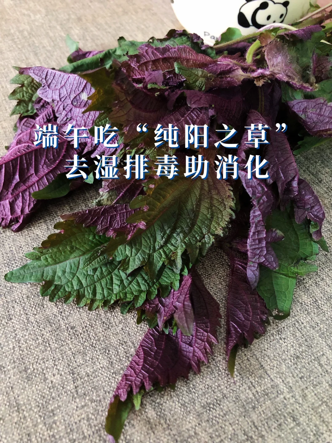 端午：排shi毒 、解腻助消化， 全靠它‼️