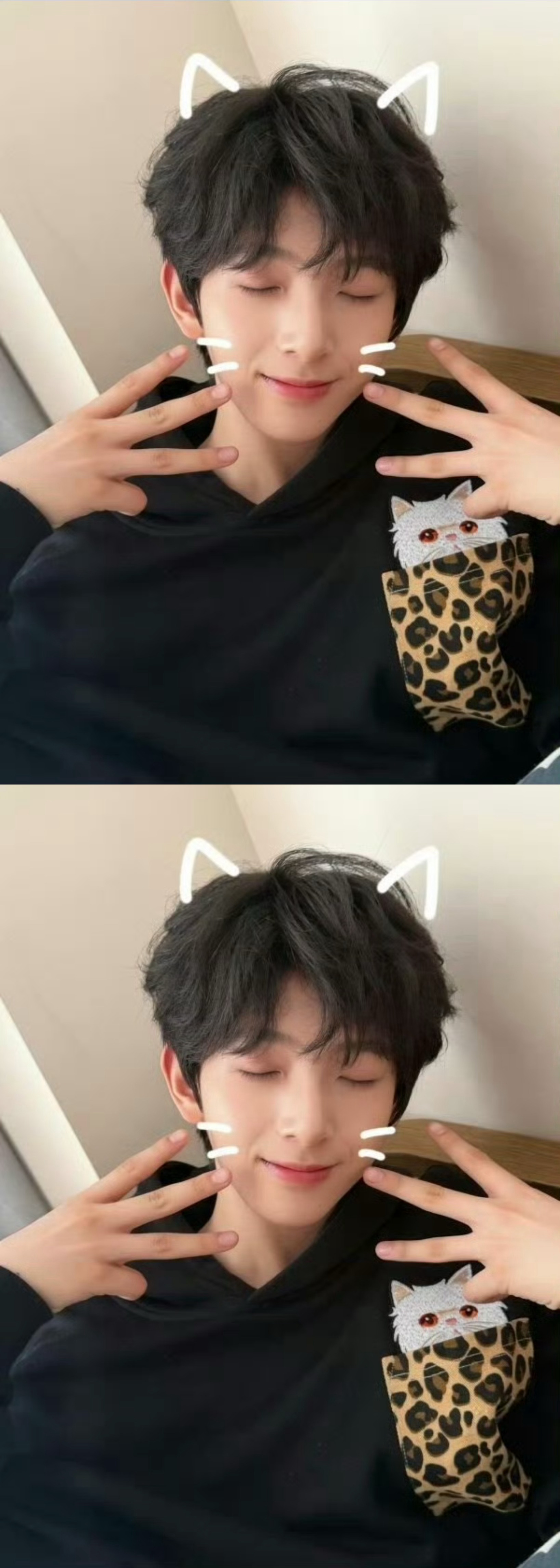 陈浚铭猫咪塑陈浚铭高会更新营业：不能给小狗看到的照片，猫咪塑好可爱好可爱啊