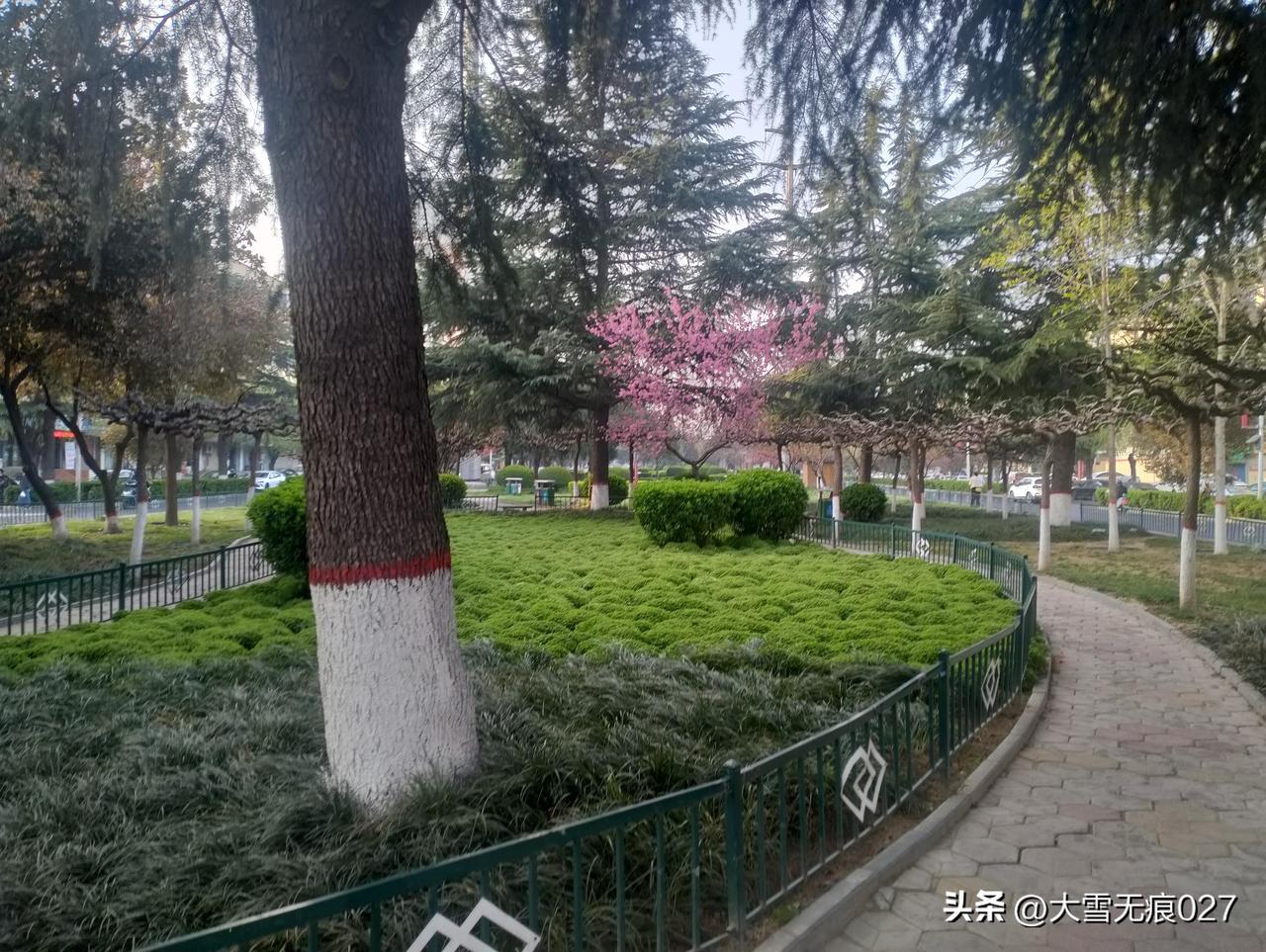 身体这辆车，别光知道狂飙，忘了保养！
 
人到中年才慢慢懂：
身体其实才是自己唯