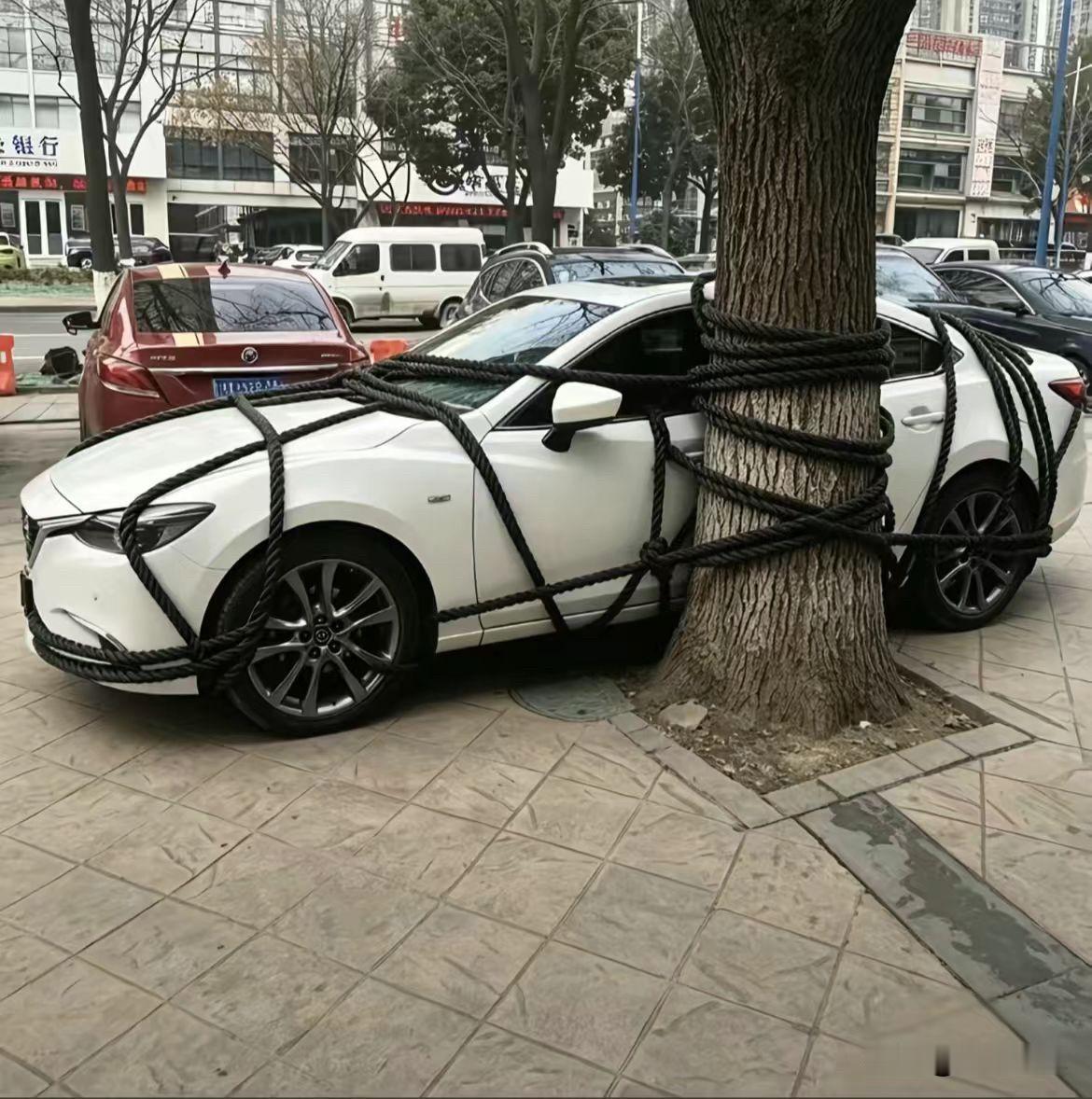 这真是人才啊！