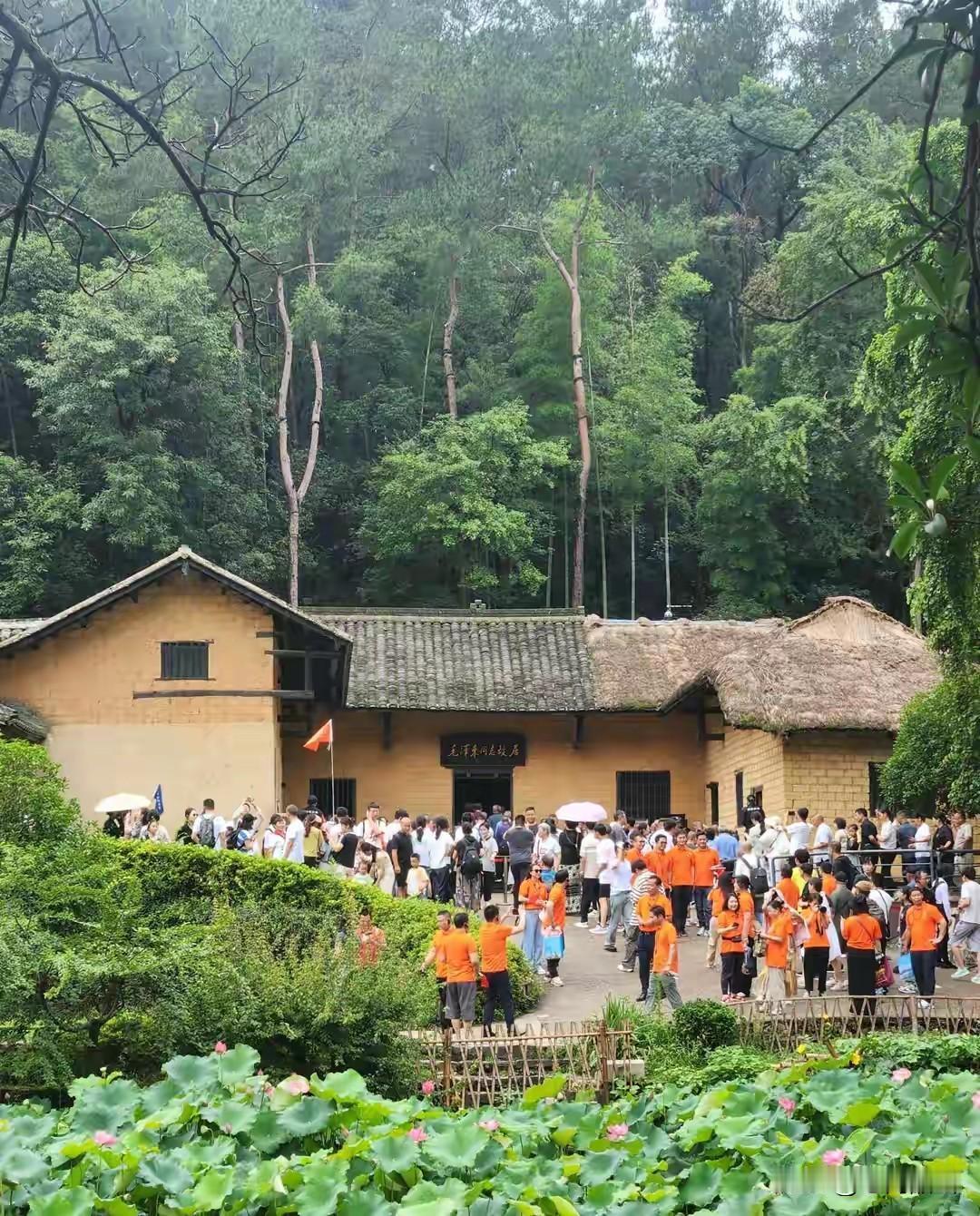 上小学时知道了中国人民的伟大领袖是毛主席，知道了韶山是毛主席的故乡。
从那时起，