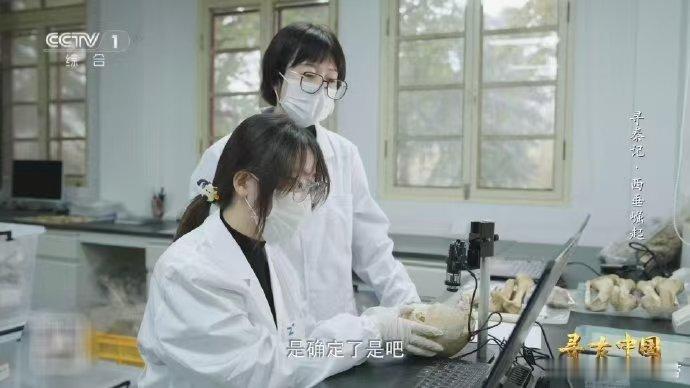 研究发现秦人鼻子宽面形低 秦人的祖先从哪来 甘肃清水李崖遗址，商式方唇陶器与葬俗