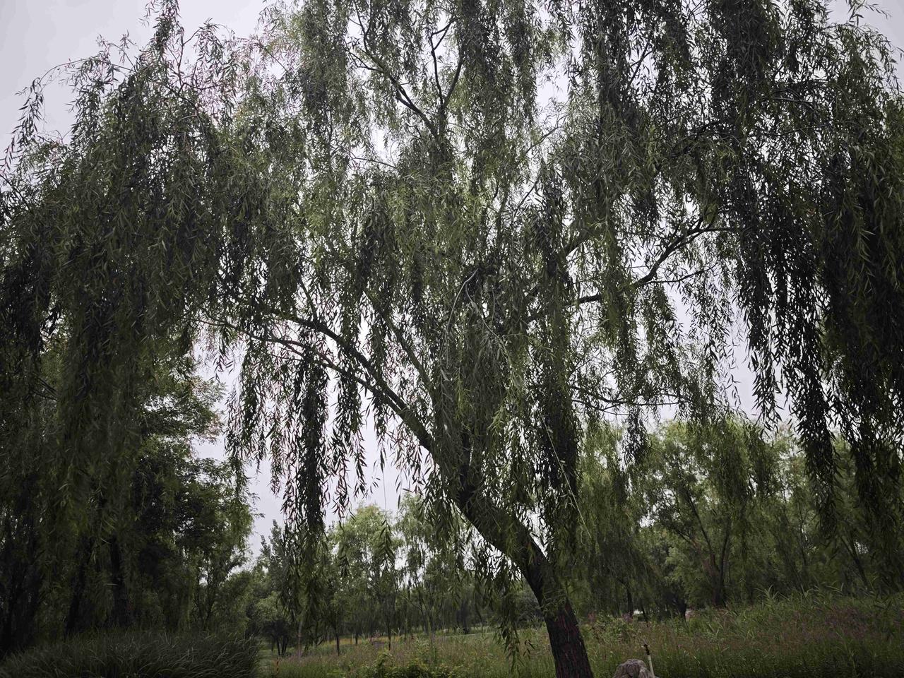 我的今日状态：💰期待暴富
我这里的天气：🌤️多云
