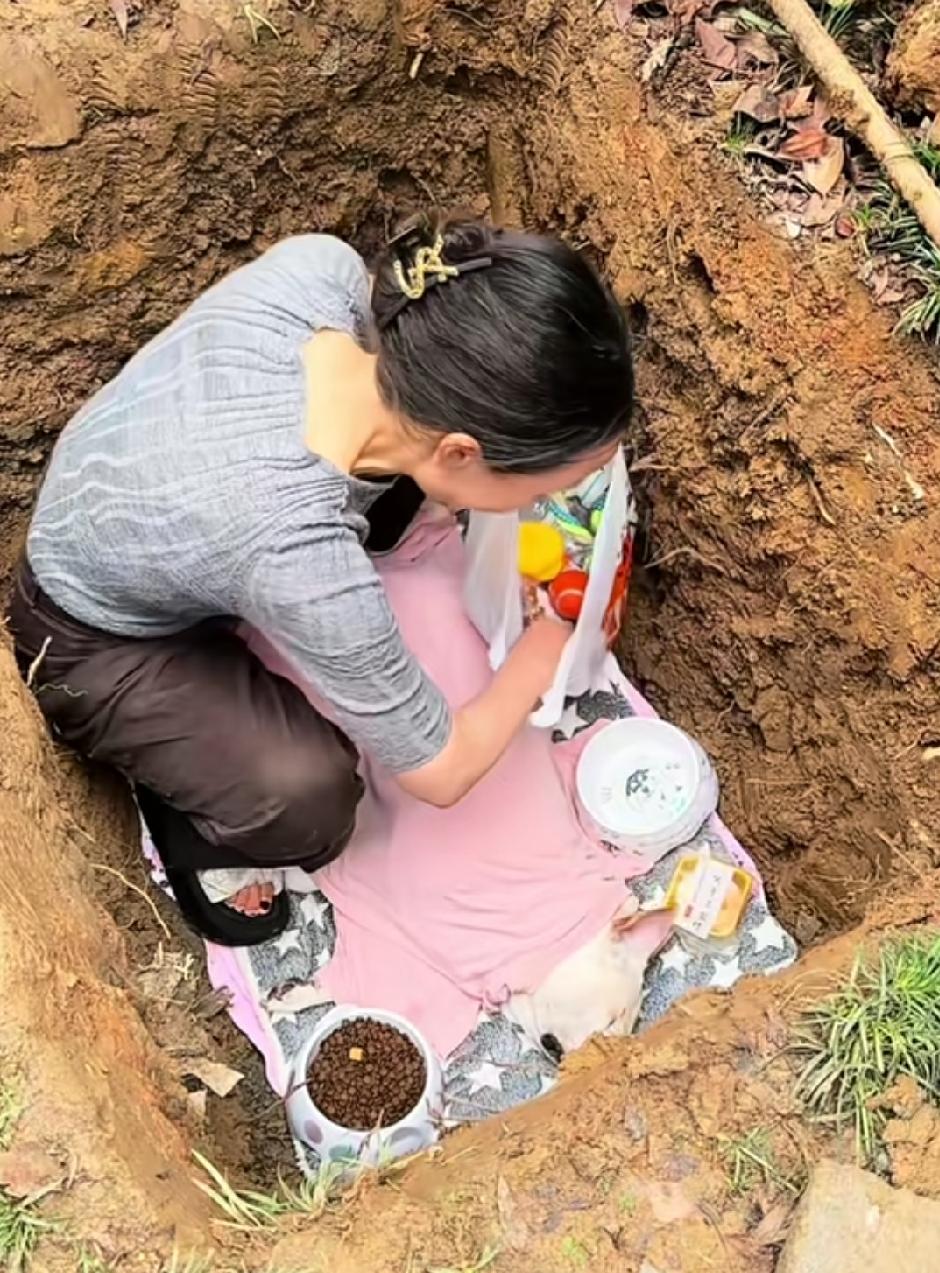 也许不养狗的人理解不了我们养宠物人的心情吧！可以不理解我们，但是不要伤害我们。一