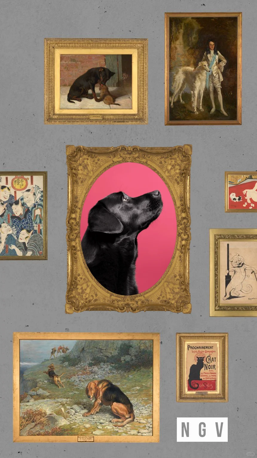 墨尔本NGV Cats and Dogs展览