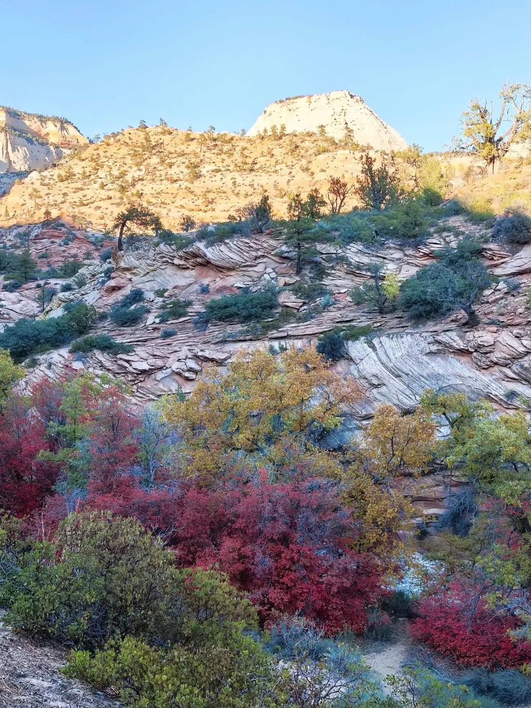 夕阳西下，云海翻腾的景象，真的太让人沉醉了！就像在静谧湖面映出的晚霞，美得如诗如