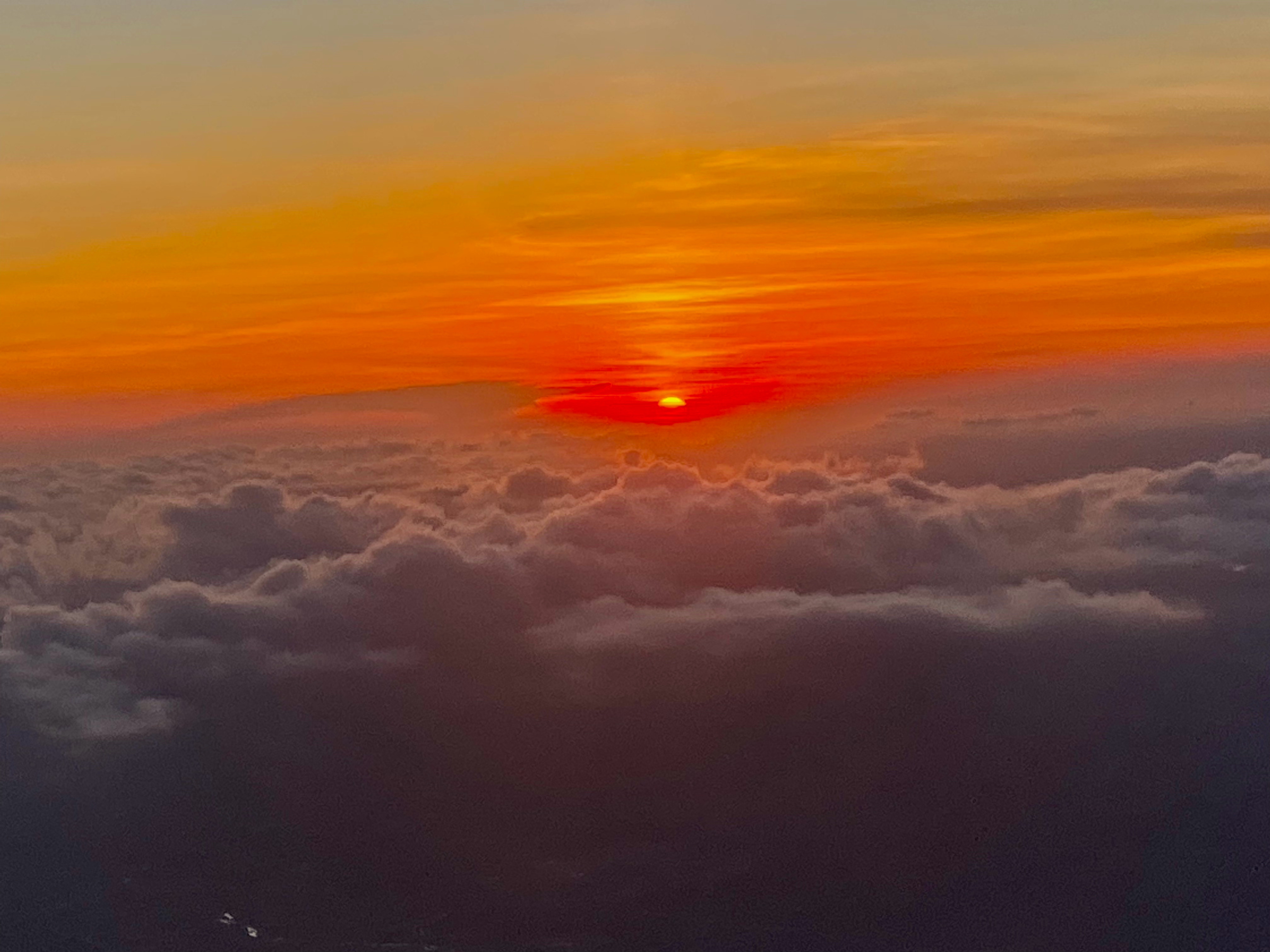 新年好岁序轮替愿吉祥世界和平人安康元始旦夕多喜乐丙午红火百业旺 