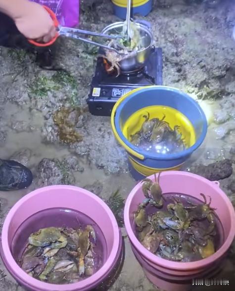 想问一下，真的赶海和那些网红视频里一样吗？
 
像我这种在内陆长大的，要是不往外