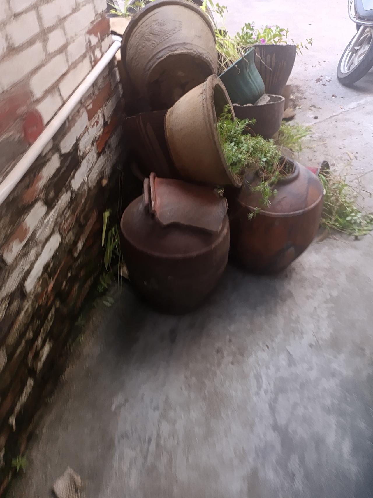 我在登高路
发现一个很严重的问题
但不知道怎么说才好呢？




你敢相信吗？现