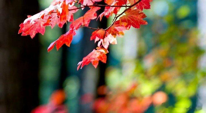 #高情商的人相亲是不会失败的##这是我的心里话#首先要澄清一下哈，鄙人不是不会说