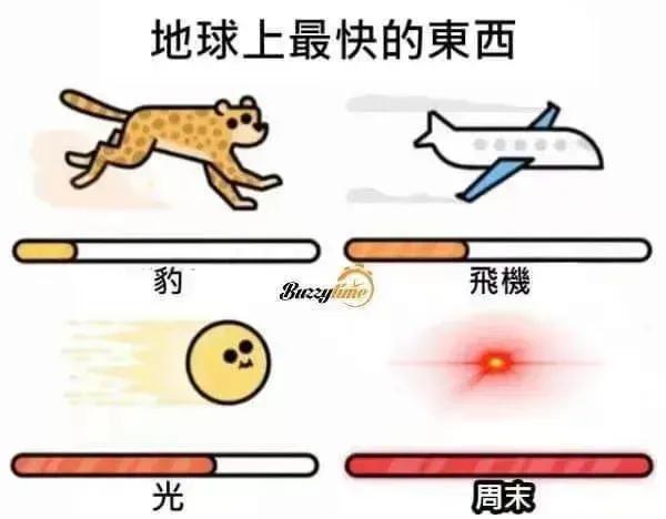 就是你周末[捂脸]