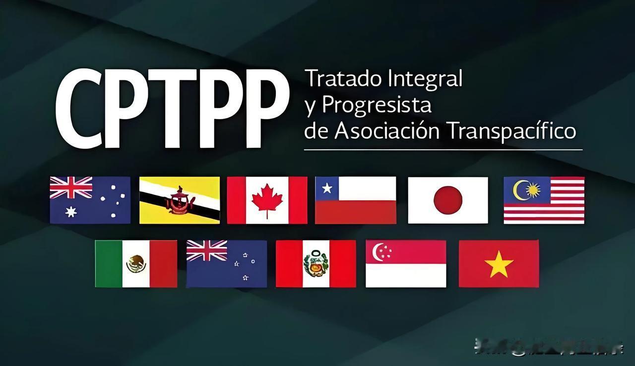 英国最近加入了cptpp，这又引起了很多人关于中国不能加入的焦虑，觉得要被排除在