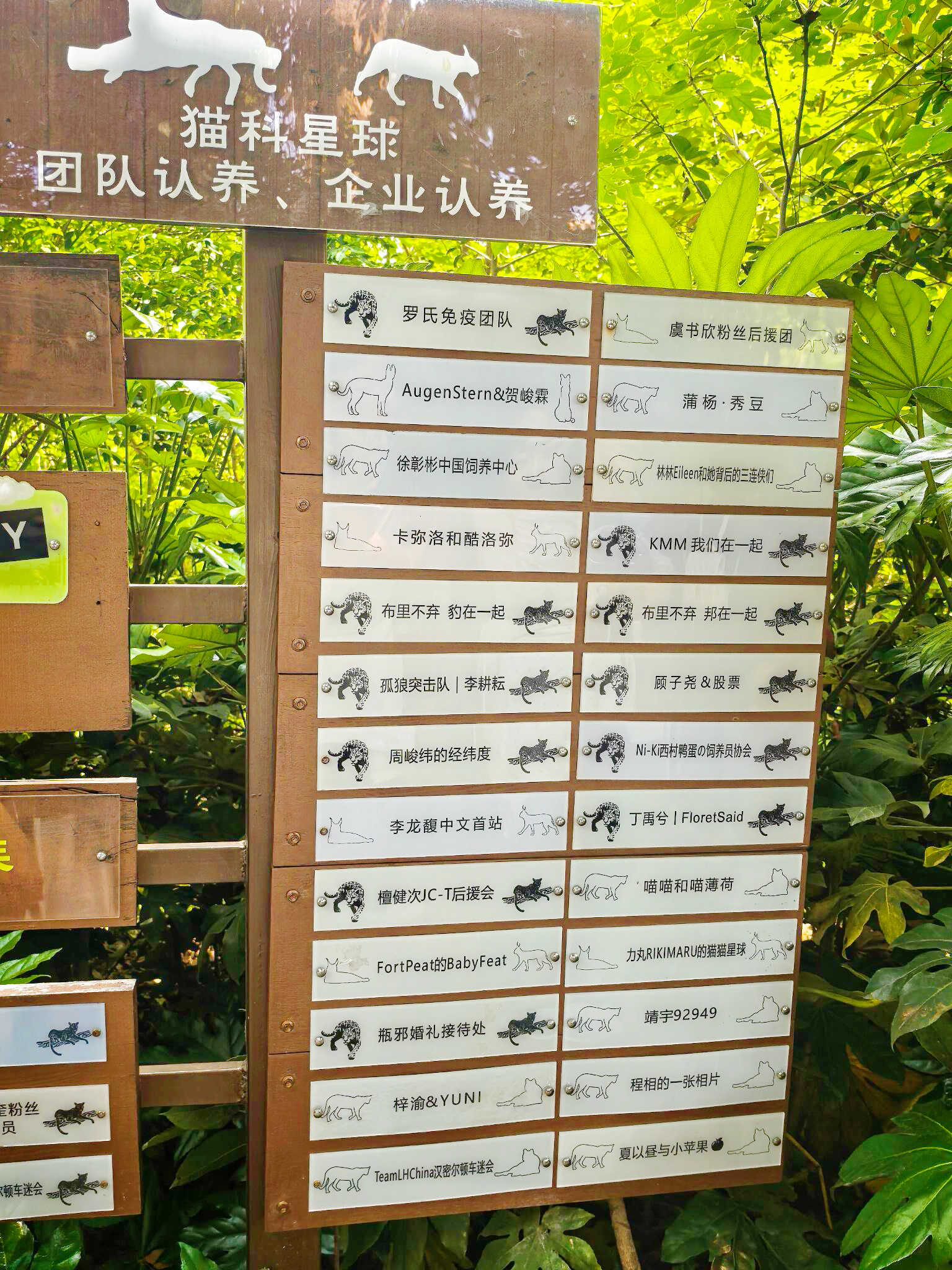 红山动物园粉丝认养牌虞书欣、檀健次、梓渝 