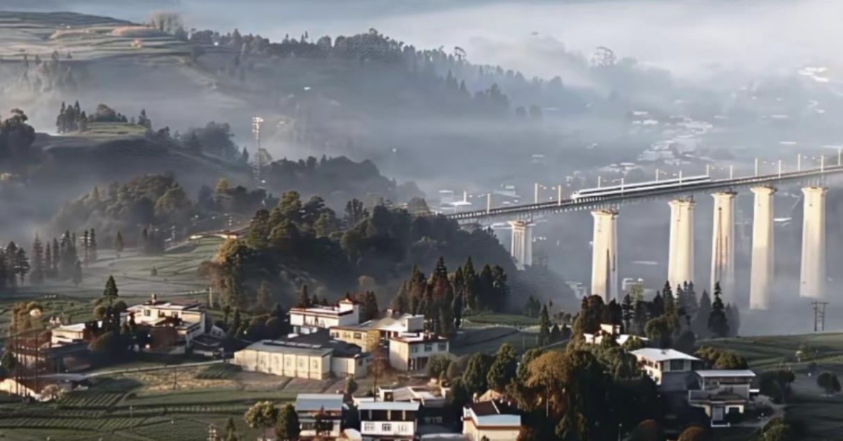 晨雾初生，蒙顶余脉间万亩茶园铺展成天然青绿画卷 。层层茶垄随势蜿蜒，如古画皴法勾